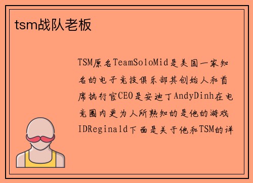 tsm战队老板